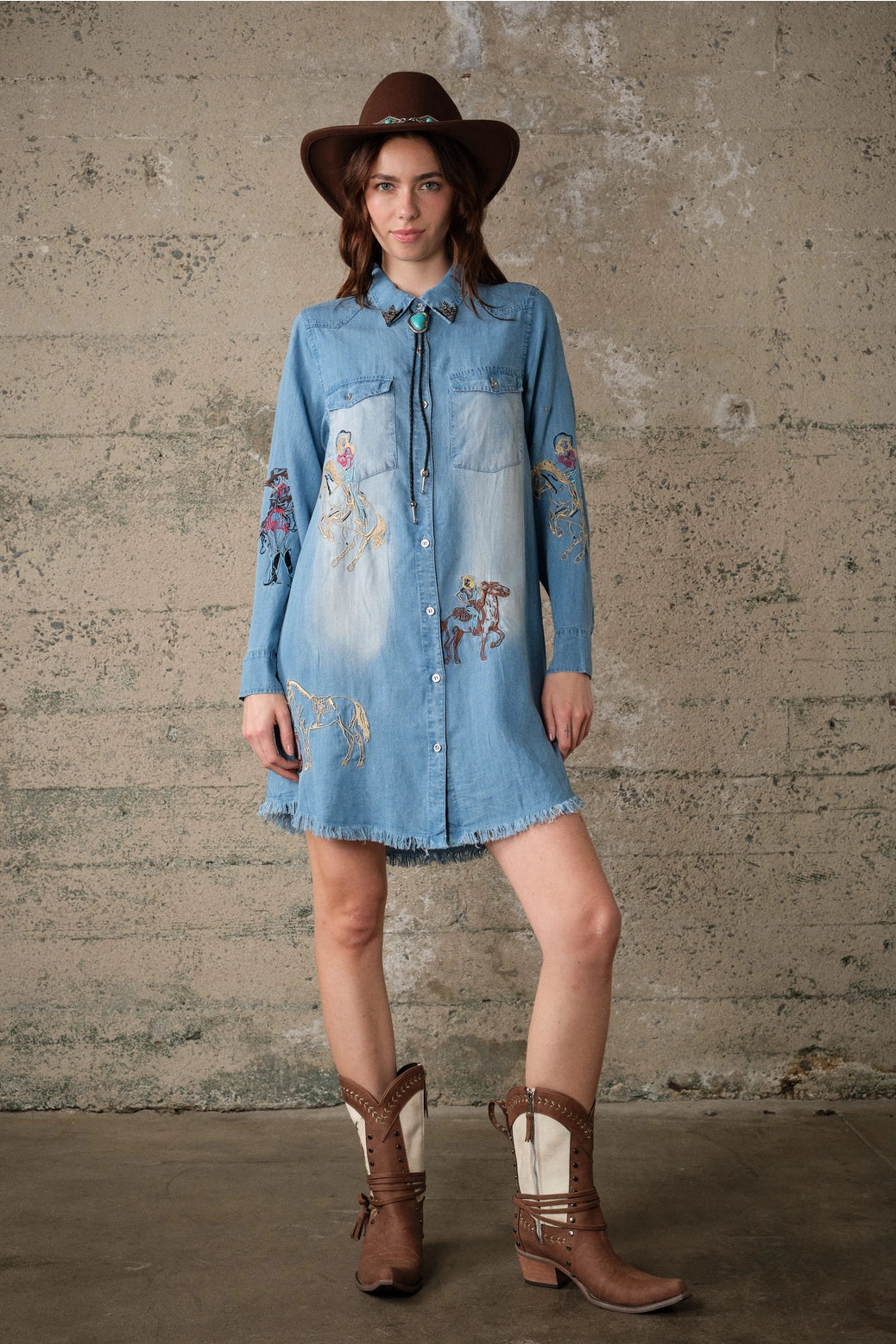 Embroidered Western Dress