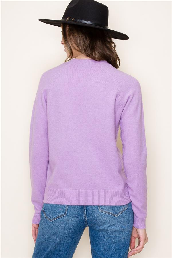 Crew Neck Solid Sweater