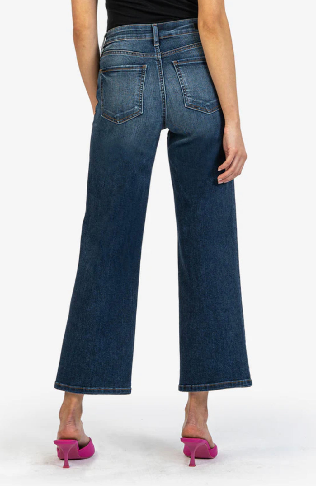 Charlotte High Rise Fab Ab Wide Leg (Resolved Wash)