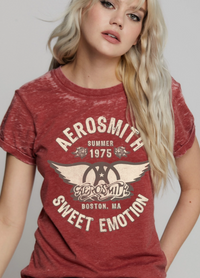 Aerowsmith Tee