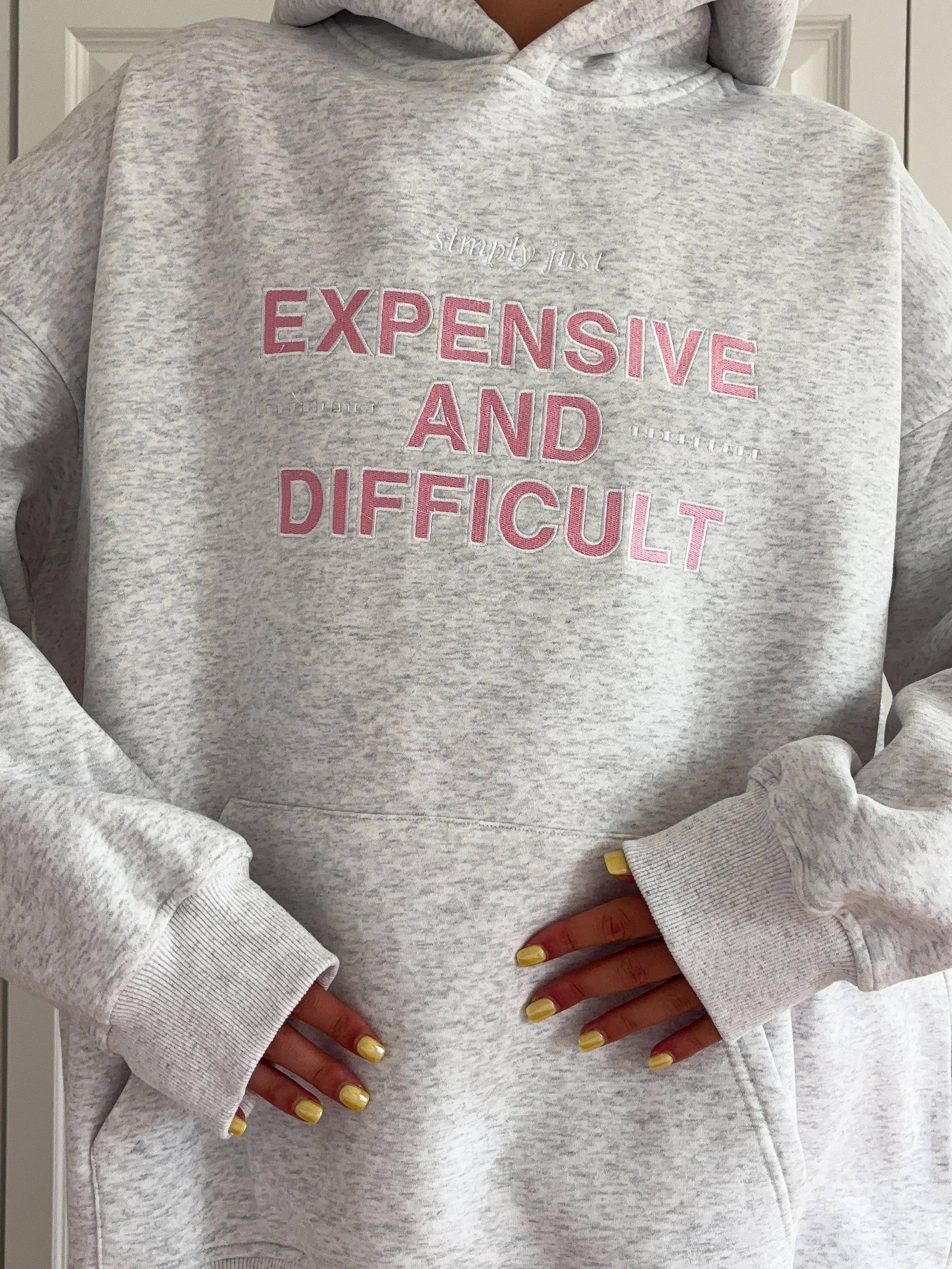 Expensive And Difficult Embroider Hoodie