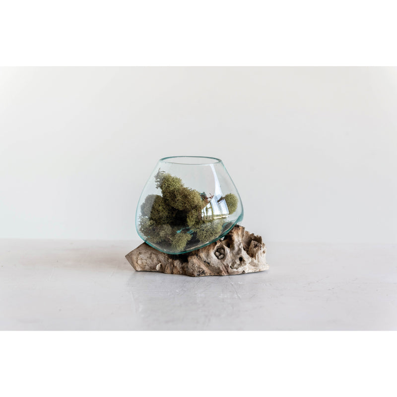 Glass Planter on Natural Wood Base