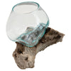 Glass Planter on Natural Wood Base