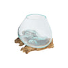 Glass Planter on Natural Wood Base