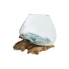 Glass Planter on Natural Wood Base
