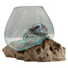 Glass Planter on Natural Wood Base