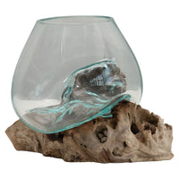 Glass Planter on Natural Wood Base