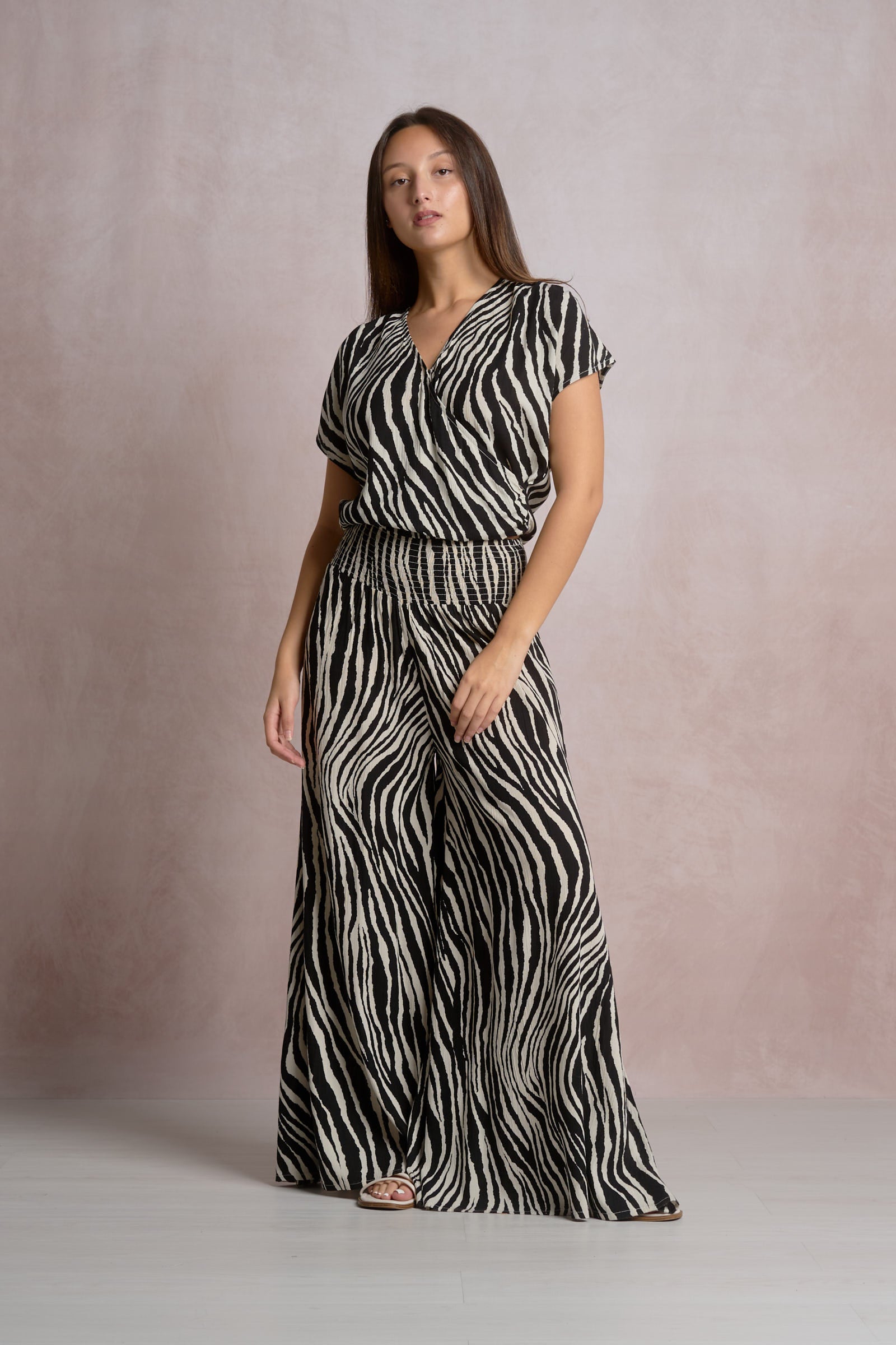 Zebra Striped Zebra Top